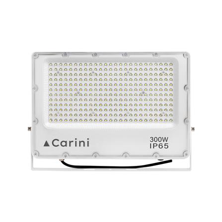 สปอตไลท์ภายนอก LED CARINI NYSP300W 300 วัตต์ DAYLIGHT_1