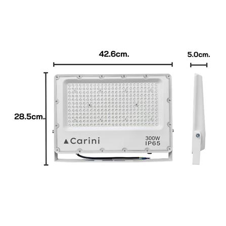 สปอตไลท์ภายนอก LED CARINI NYSP300W 300 วัตต์ DAYLIGHT_7