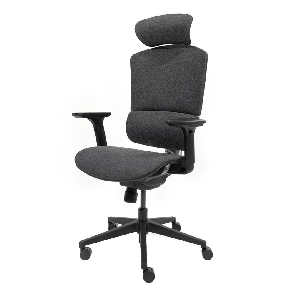 เก้าอี้สุขภาพ ERGOTREND M-GOTLAND สีเทา