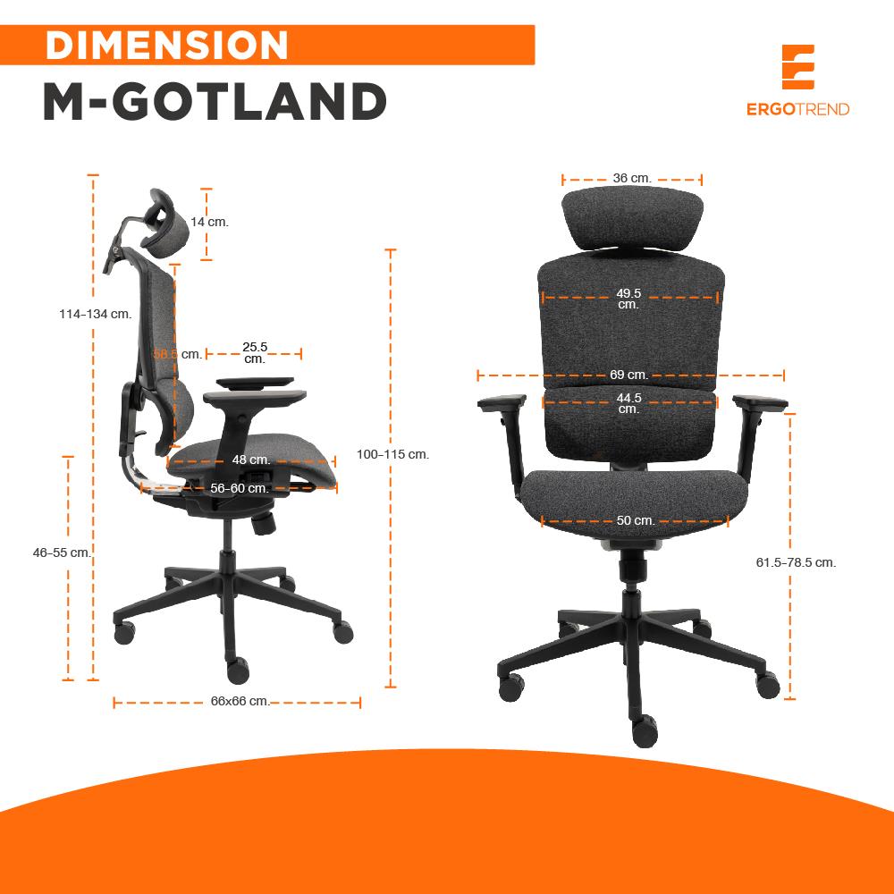 เก้าอี้สุขภาพ ERGOTREND M-GOTLAND สีเทา