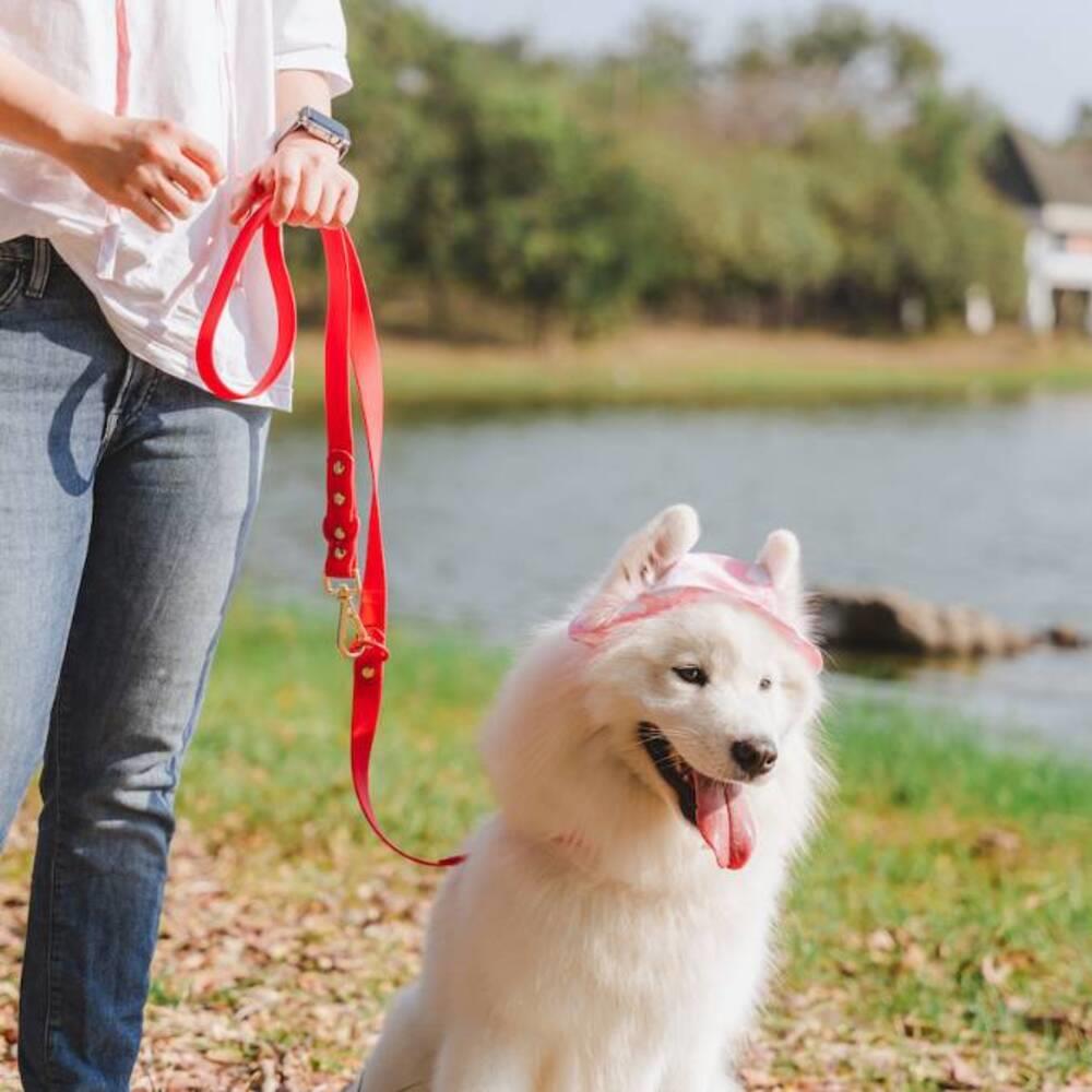 เซ็ตปลอกคอสัตว์เลี้ยง พร้อมสายจูง CLAWSET LET'S GO ไซซ์ XL สี Flamingo