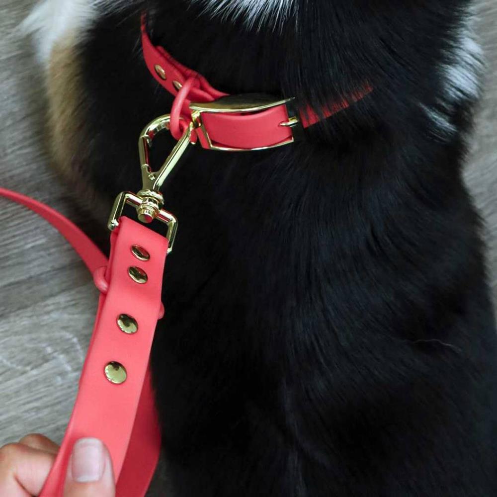 เซ็ตปลอกคอสัตว์เลี้ยง พร้อมสายจูง CLAWSET LET'S GO ไซซ์ XL สี Flamingo