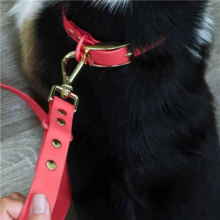 เซ็ตปลอกคอสัตว์เลี้ยง พร้อมสายจูง CLAWSET LET'S GO ไซซ์ XL สี Flamingo_4