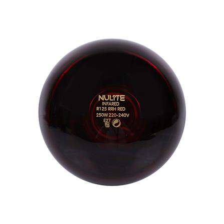 หลอด INFRARED CARINI R125RRH 250 วัตต์ RED E27_1