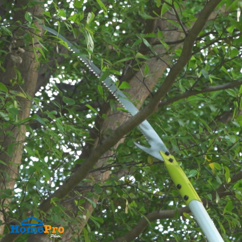 เลื่อยตัดแต่งกิ่ง ด้ามปรับระดับ SPRING 150 ซม.