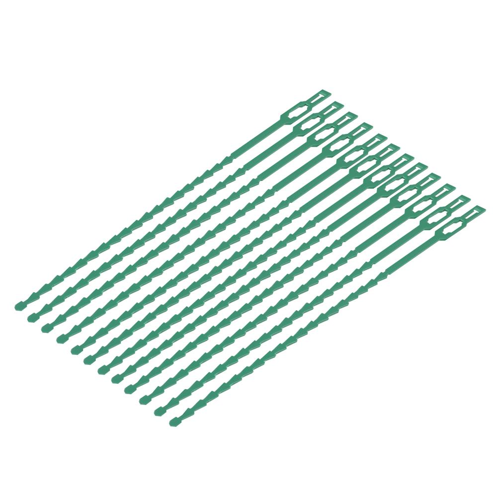 ชุดลวดรัดต้นไม้ SPRING