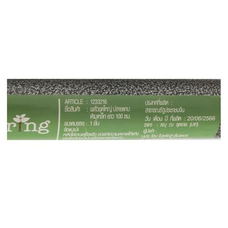 พลั่วปลายแคบ ด้ามเหล็ก SPRING 100 ซม._4