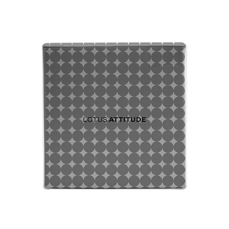 ชุดผ้าปูที่นอน 5 ฟุต 5 ชิ้น LOTUS BROOKLYN BR-04B_3