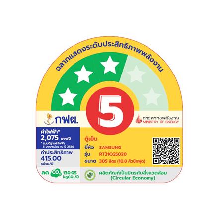 ตู้เย็น 2 ประตู SAMSUNG RT31CG5020S9ST 10.8 คิว สีเงิน_6