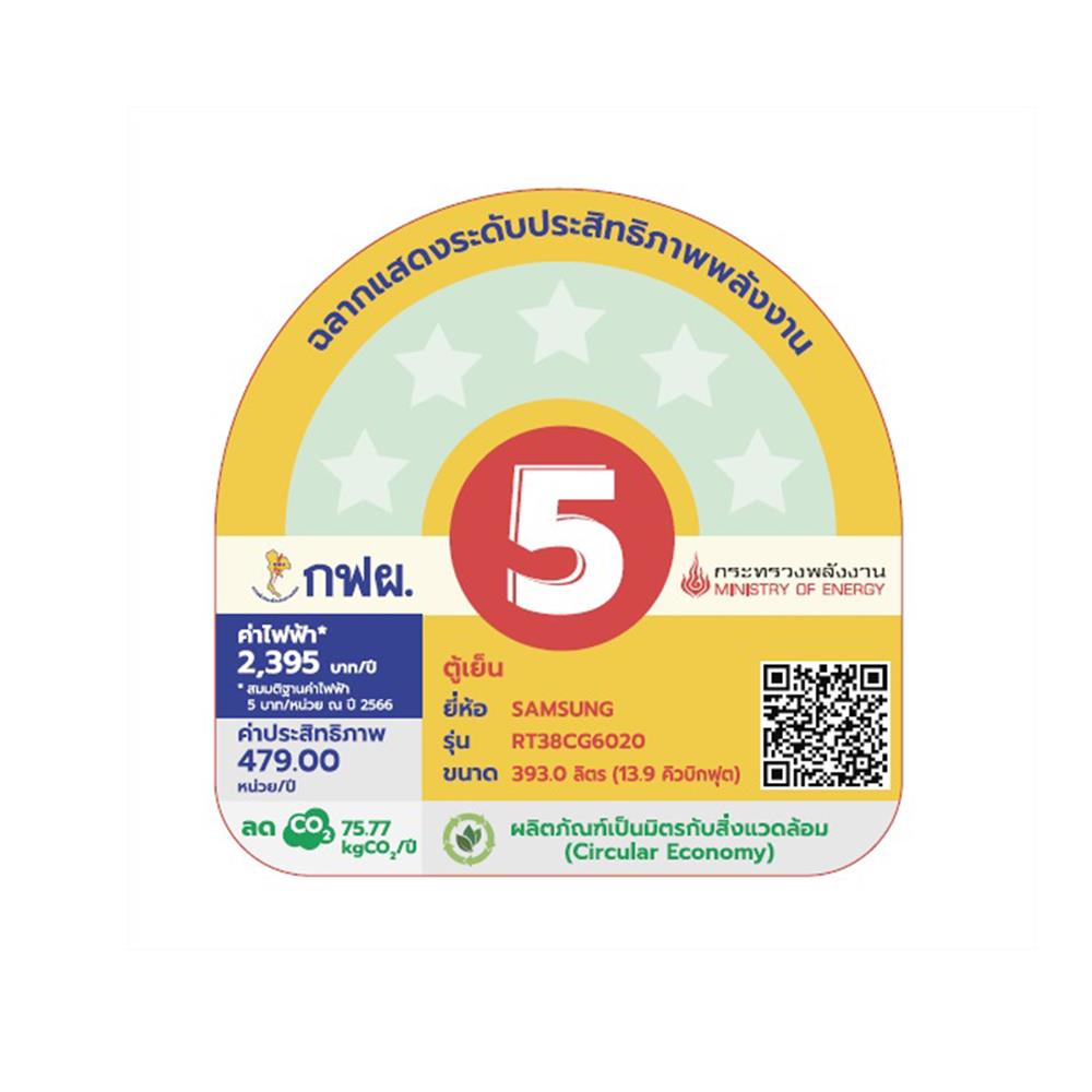 ตู้เย็น 2 ประตู SAMSUNG RT38CG6020B1ST 13.9 คิว สีดำ อินเวอร์เตอร์