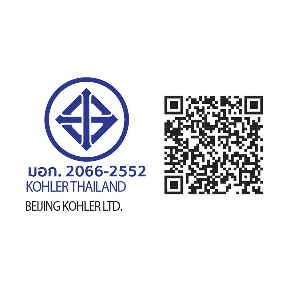 ฝักบัว RAIN SHOWER KOHLER K-33099T-9-AF