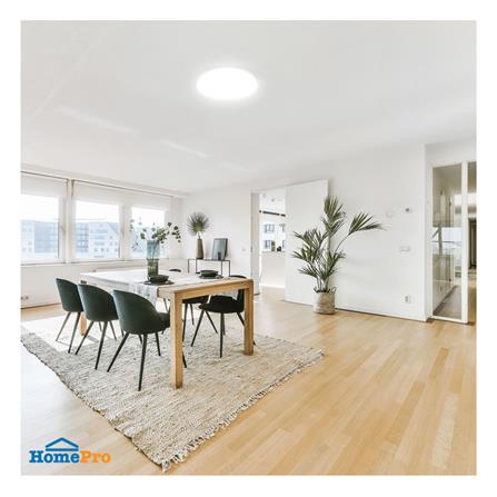 ไฟเพดาน LED LAMPTAN BASIC 16 นิ้ว 24 วัตต์ DAYLIGHT สีขาว_5