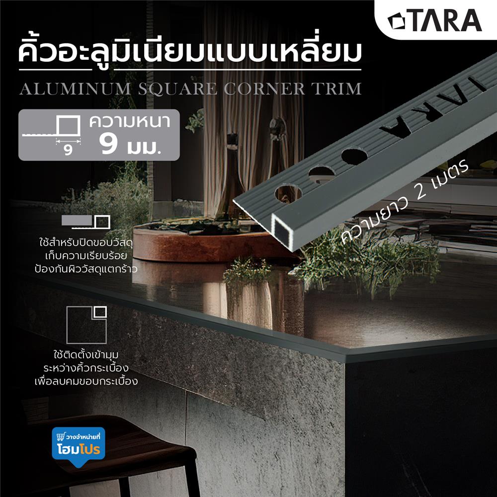 คิ้วอะลูมิเนียมแบบเหลี่ยม TARA 9 มม. 2 ม. สีดำเงา