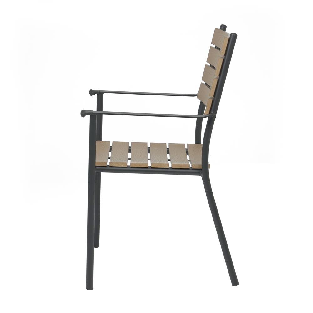 เก้าอี้ไม้พลาสวูด SPRING AMBER สีดำ/น้ำตาล