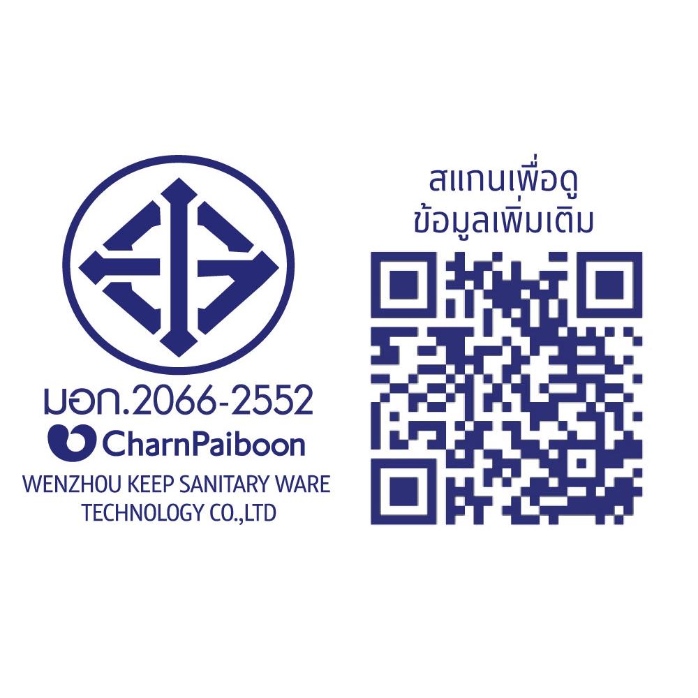 ฝักบัว RAIN SHOWER เดี่ยว BEN BN NEW22-RAIN สีโครม