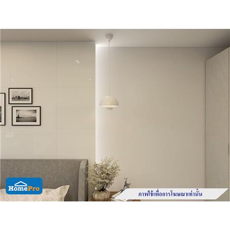 ไฟช่อ HATASHI HT-50488 สีขาว 1 หัว_3