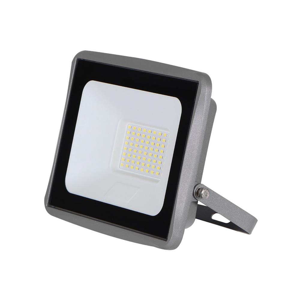 สปอตไลท์ภายนอก LED LAMPTAN FIRM 50 วัตต์ DAYLIGHT