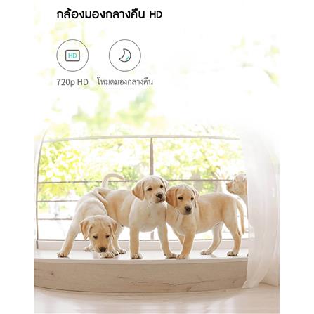 เครื่องให้อาหารสัตว์เลี้ยงอัตโนมัติ PETONEER NUTRI VISION 3.7 ลิตร_7