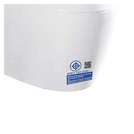 สุขภัณฑ์อัตโนมัติ ESTHER ECT-02-120-11 สีขาว_5