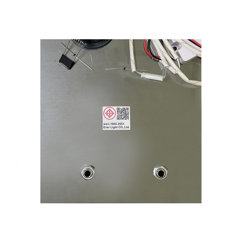 ไฟถาด LED EVL CFC-11062 100 วัตต์ DAYLIGHT/COOL WHITE/WARM WHITE สีใส/เงิน 1 หัว