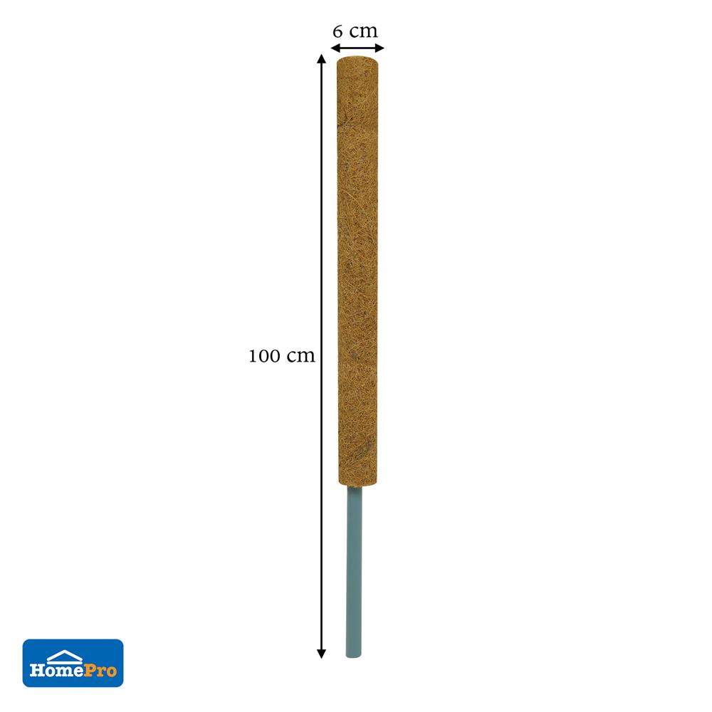 หลักใยมะพร้าว SPRING 80 ซม.