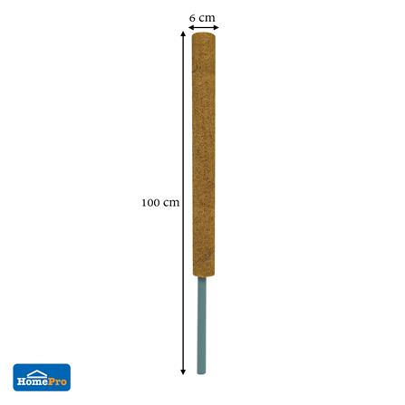 หลักใยมะพร้าว SPRING 80 ซม._3