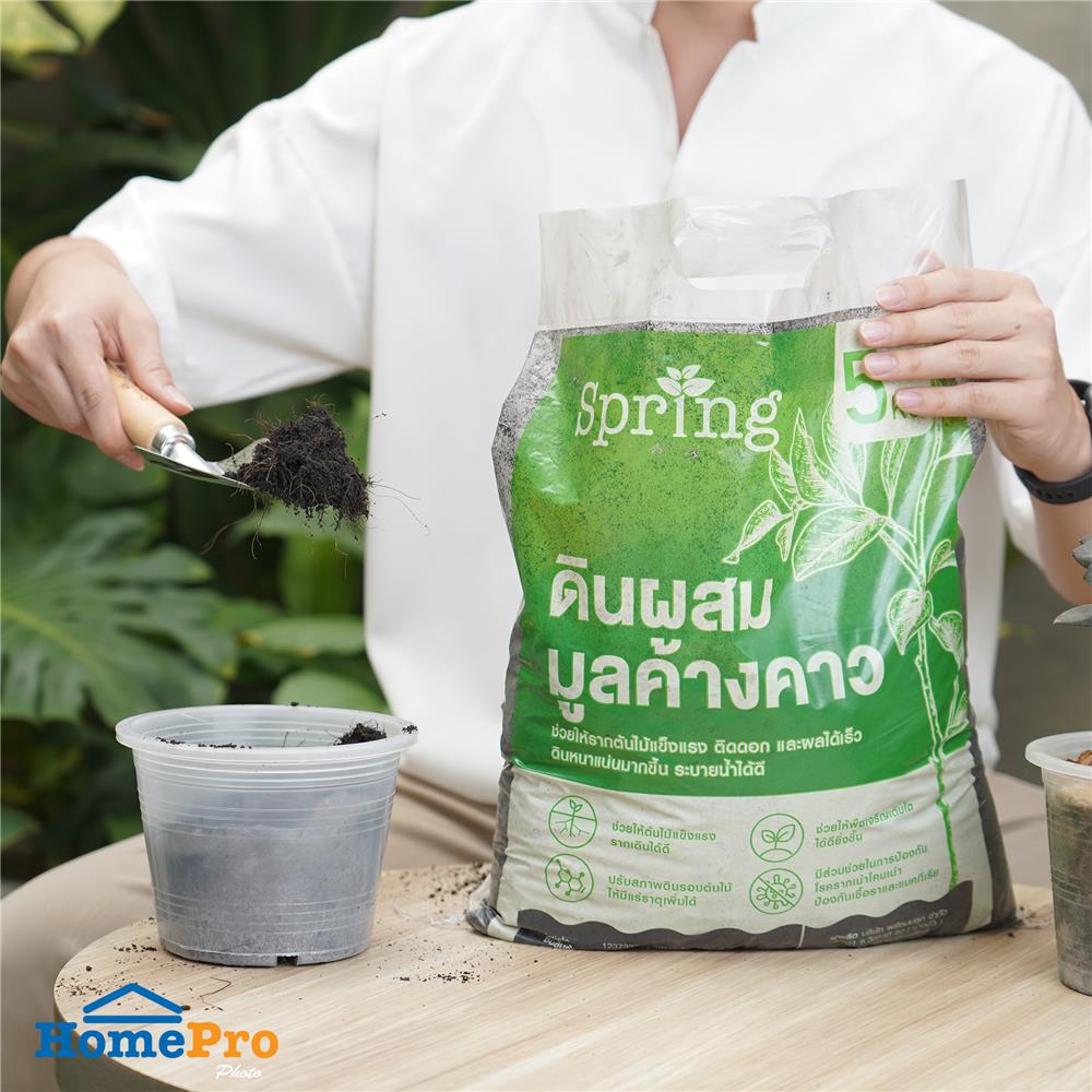 ดินผสมมูลค้างคาว SPRING 5 กก.