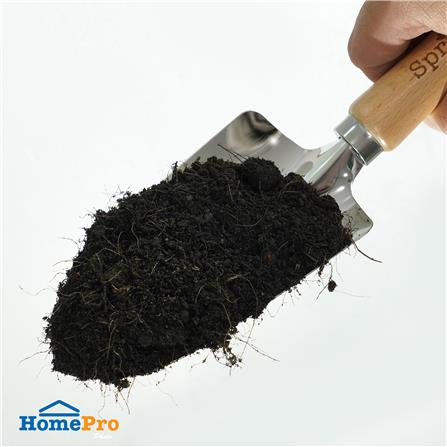 ดินผสมมูลค้างคาว SPRING 10 กก._3