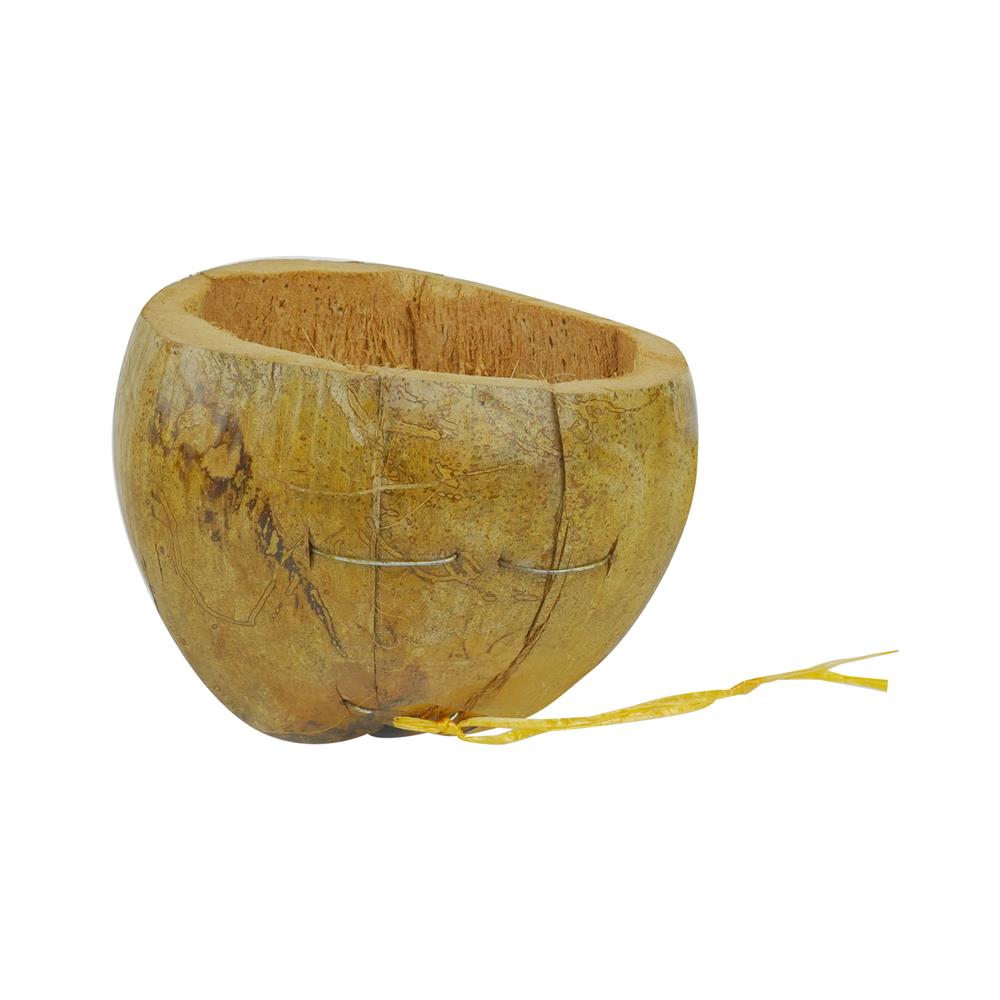 กระถางมะพร้าวครึ่งลูก SPRING