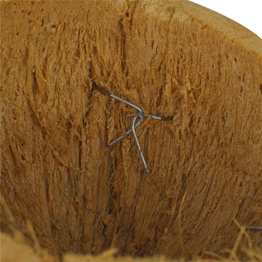 กระถางมะพร้าวครึ่งลูก SPRING