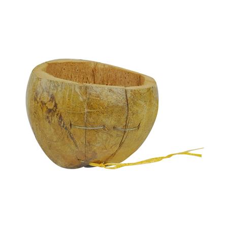 กระถางมะพร้าวครึ่งลูก SPRING_0