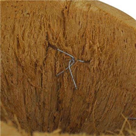 กระถางมะพร้าวครึ่งลูก SPRING_2