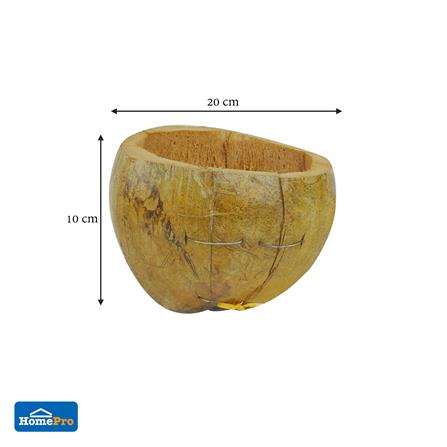 กระถางมะพร้าวครึ่งลูก SPRING_4