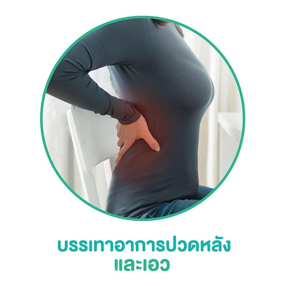 เบาะรองหลังเพื่อสุขภาพ WORKSCAPE WAH-00018 สีชมพู