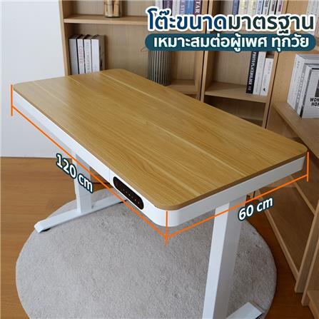 โต๊ะปรับระดับไฟฟ้า DESKSPACE DESK3 120 ซม. สีวอลนัท/ดำ_8