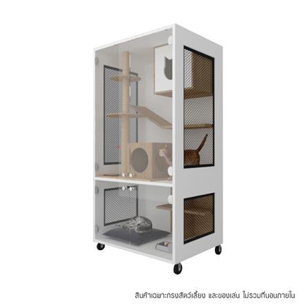 คอนโดแมว