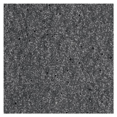 กระเบื้องตกแต่งพอร์ซเลน 4x4 นิ้ว COTTO คาซ่าสโตน เทาเข้ม PM 0.8 ตร.ม.