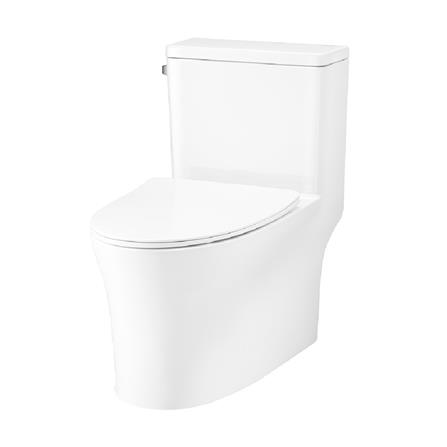 สุขภัณฑ์ 1 ชิ้น COTTO C105617 วิสต้า 4.8 ลิตร สีขาว_1