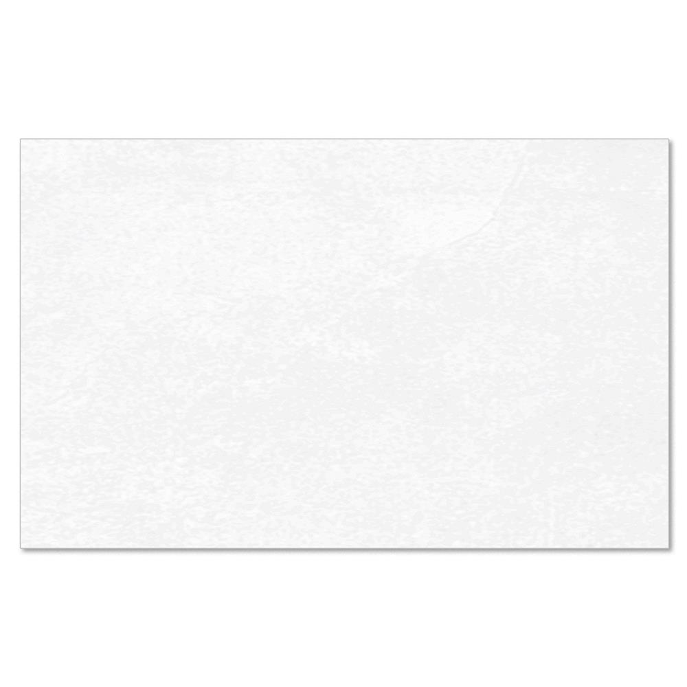 กระเบื้องผนัง 25x40 ซม. TARA ทาร์เนียร์ ไวท์ 1 ตร.ม._0