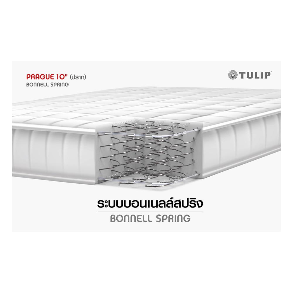 ที่นอน 5 ฟุต TULIP PRAGUE พร้อมชุดเครื่องนอน 11 ชิ้น