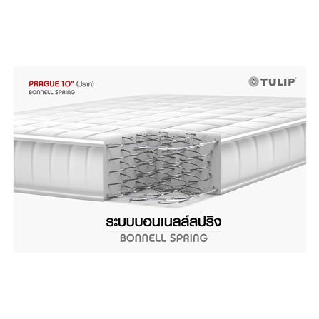 ที่นอน 5 ฟุต TULIP PRAGUE พร้อมชุดเครื่องนอน 11 ชิ้น_4