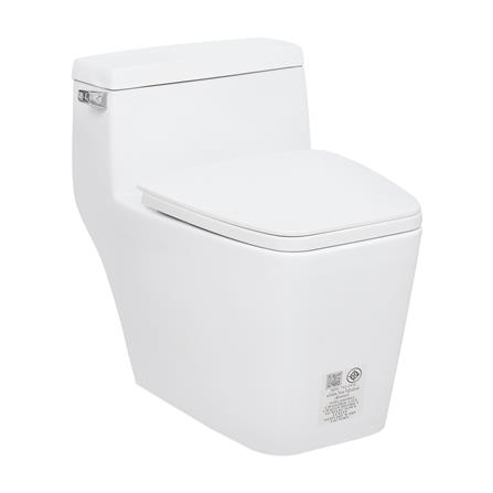 cate-One-Piece Toilets