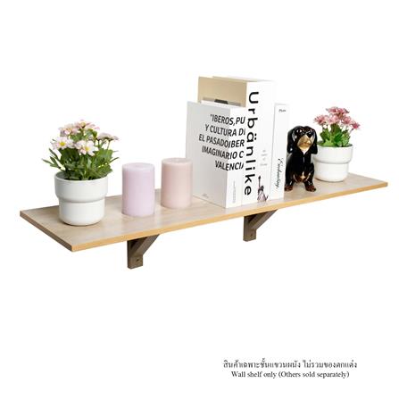 ชั้นแขวนผนัง FASTTECT WT2590+LS1190-WHMALT 90 ซม. สีไวท์มอลต์