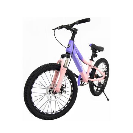 จักรยานเสือภูเขา QITONG TN22A01 20 นิ้ว สีชมพู/ม่วง_2