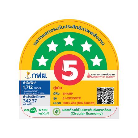 ตู้เย็น 2 ประตู SHARP SJ-XP300TP-DK 10.6 คิว สีเงินเข้ม_6