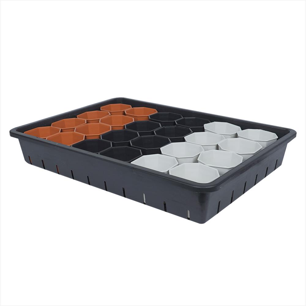 กระถางแคคตัส แปดเหลี่ยม SPRING 3 นิ้ว 24 ใบ พร้อมถาด_0