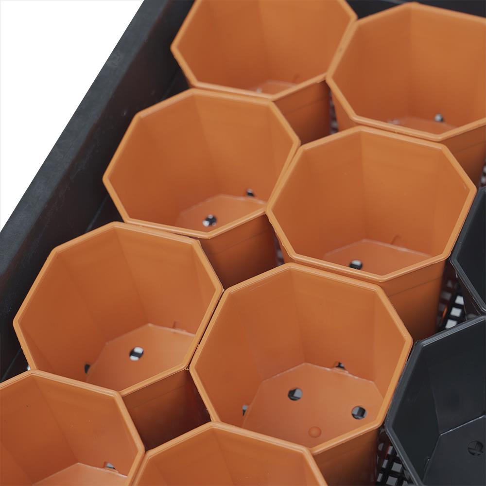 กระถางแคคตัส แปดเหลี่ยม SPRING 3 นิ้ว 24 ใบ พร้อมถาด