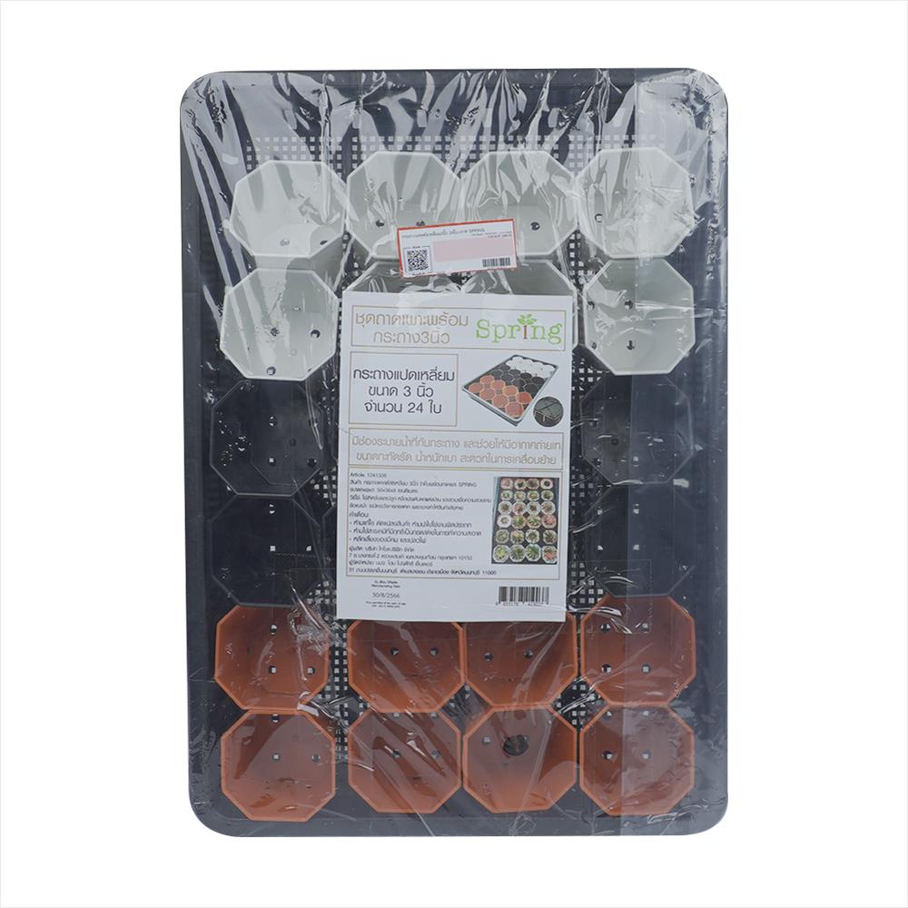 กระถางแคคตัส แปดเหลี่ยม SPRING 3 นิ้ว 24 ใบ พร้อมถาด