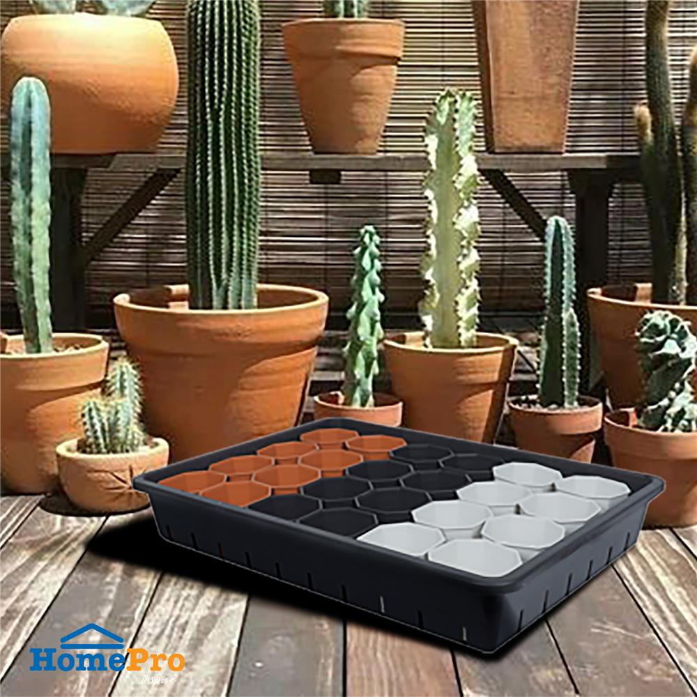 กระถางแคคตัส แปดเหลี่ยม SPRING 3 นิ้ว 24 ใบ พร้อมถาด