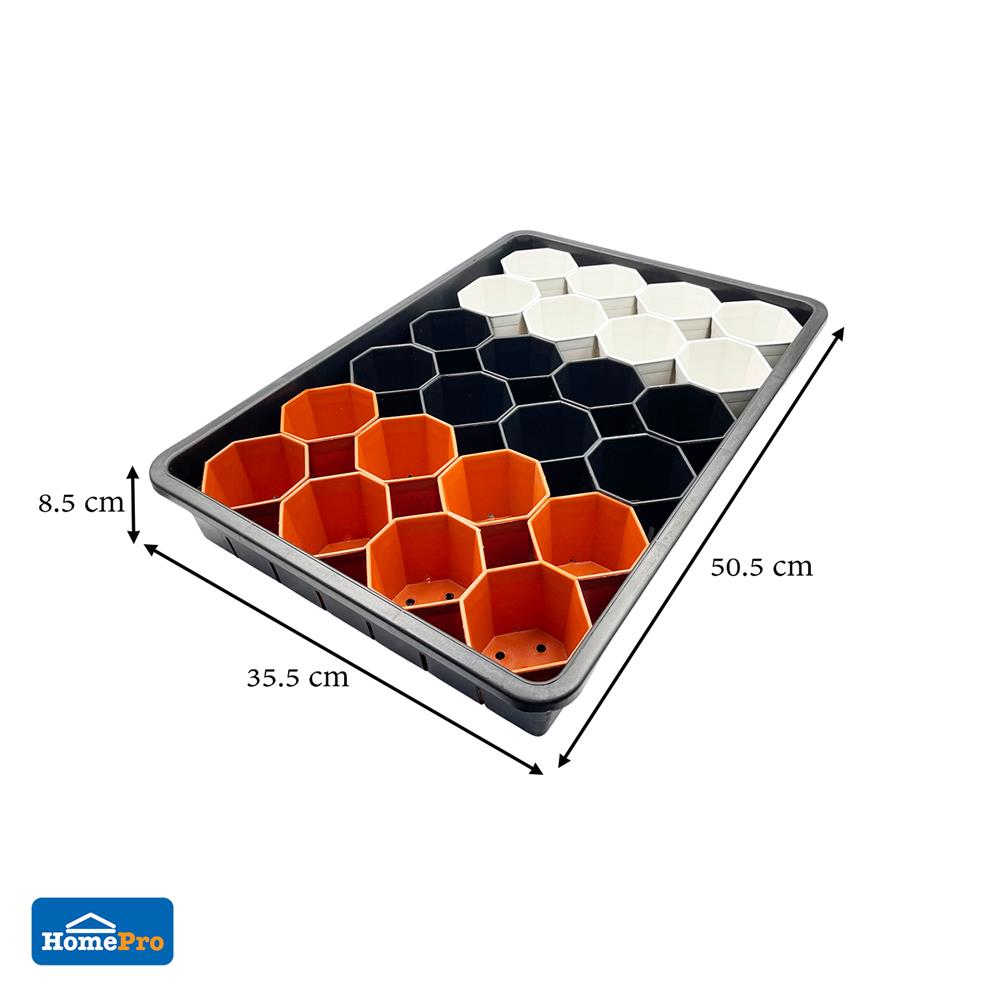 กระถางแคคตัส แปดเหลี่ยม SPRING 3 นิ้ว 24 ใบ พร้อมถาด